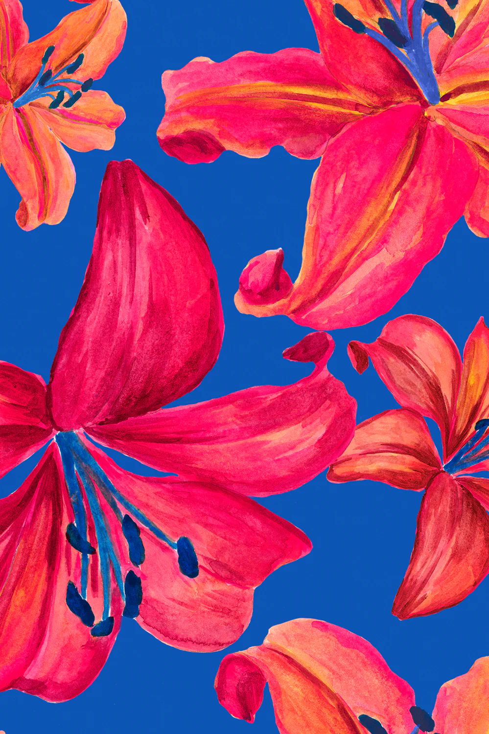 Brandon One Piece Swimsuit - Wonders - Image 5